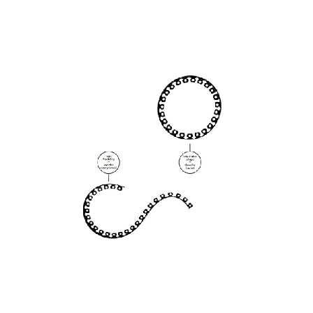 Nurmikon reunussetti EASY BORDER 40mm, tumma grafiitti, Bradas