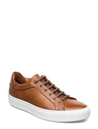 Ajan Matalavartiset Sneakerit Tennarit Ruskea Lloyd