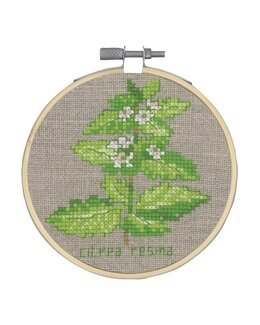 Stickpackung Bild Zitronenmelisse