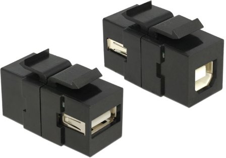 Delock Keystone module USB 2.0 A female > USB 2.0 B female - modulinnlegg