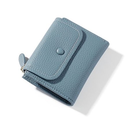 Dame Pu Pung Pengetælle Stor Kapacitet Forskellige Farver Damepung Til Kvinder Piger Daglige Genstande Kort