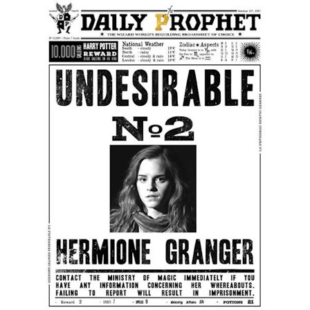 A3 Print - Harry Potter - Daily Prophet - Hermione Granger No 2