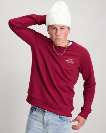 GANT GRAPHIC RAGLAN C-NECK SWEAT Rød Genser Gutt - Kids Brand Store