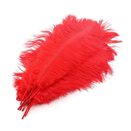 Grossist 10 st naturliga strutsfjädrar 25-30 cm/10-12 tum Stora fluff Röd