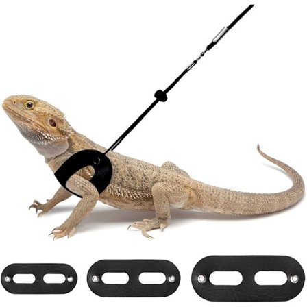 3-delad justerbar skäggagamsele och koppel (S, M, L) Mjukt läderreptilkoppel