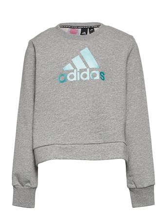Future Icons Logo Crew Sweatshirt W Sweat-shirt Tröja Grå Adidas Performance
