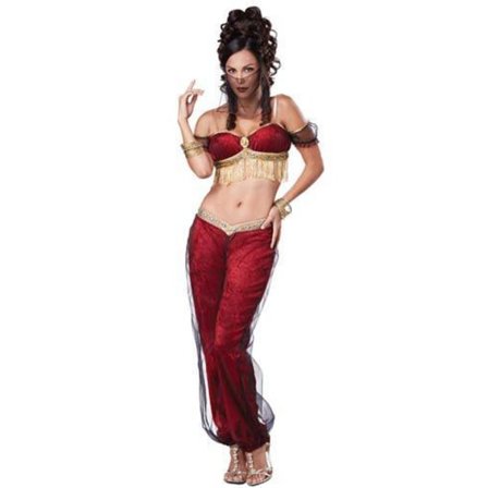 Haremsdam Deluxe Dreamy Genie Maskeraddräkt Large