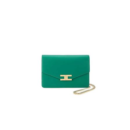 Elisabetta Franchi Shoulder Väska grön, Dam Axelremsväskor, Dam, Storlek: ONE SIZE