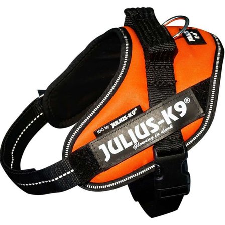 Julius-K9 Idc Harness UV Mini Dog Harnesses & Dog Collars Orange Mini