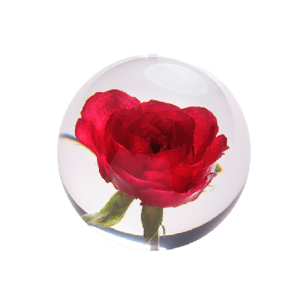 In Flore Rose Pappersvikt Inredningsdetaljer Röd