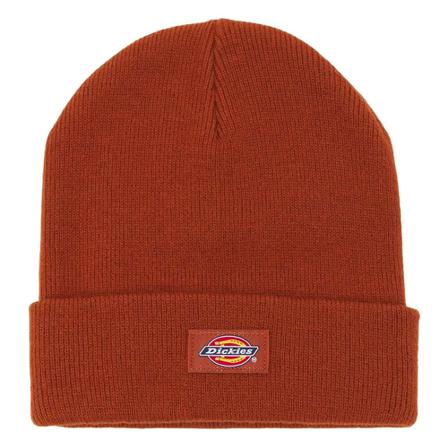 Dickies, Hats Bruin, unisex, Maat:ONE Size