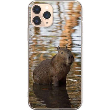 Kompatibelt Mobildeksel til Apple Apple iPhone 11 Pro Capybara