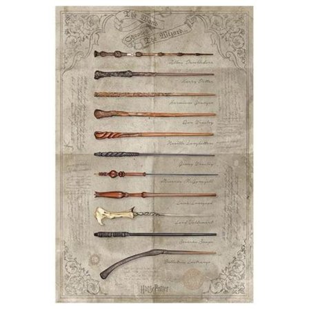 Harry Potter Plakat Stave 161