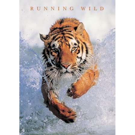 Running Wild - Tiger