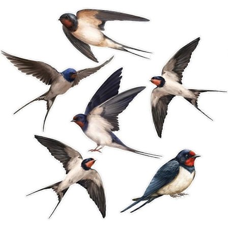 CIYISON Stilige fugleklistremerker kompatible med glass, sett med 2 vindusklistremerker kompatible med sikkerhetsdekorasjoner