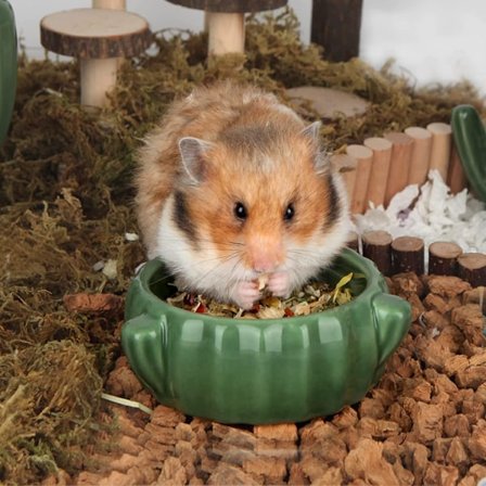 Cactus läckagesäker vattenflaska i keramik, universell vattenflaska för hamster, gerbiler och andra smådjur