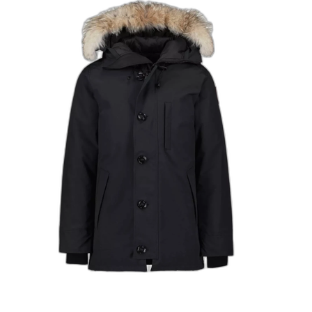 Canada goose