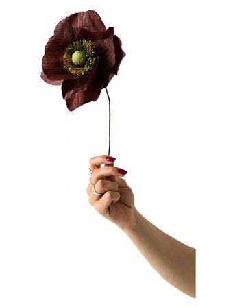 Studio About | Paper Flower, Papaver, Brown | 12X40CM