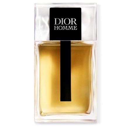 DIOR Homme 100ml - Eau de Toilette