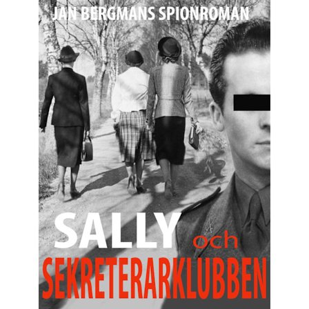 Sally och Sekreterarklubben : sekreterarklubben 1½ 9789188441409