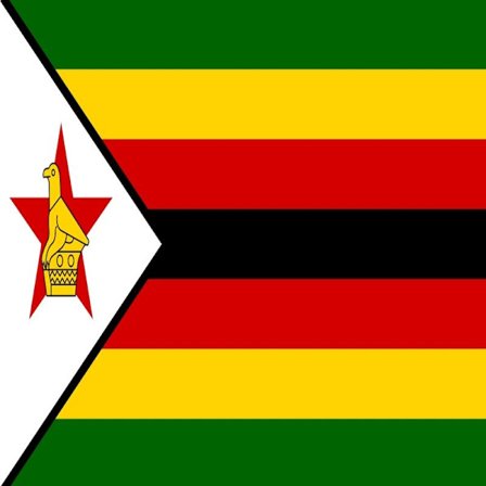 Zimbabwe-flagga 100