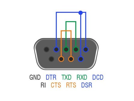 Delock Adapter RS-232 DB9 female Loopback