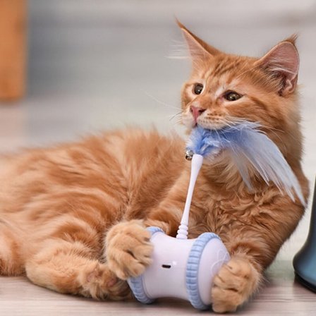 Intelligens fjäder interaktiv leksakskatt blå