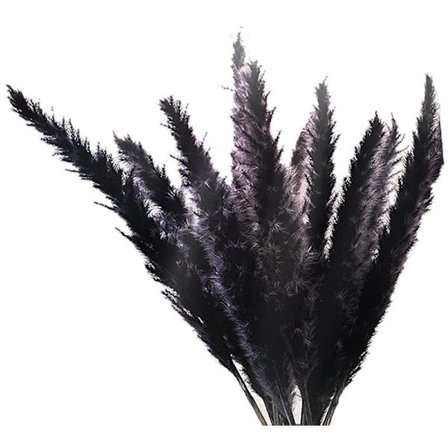 30 stk svart pampasgresserie, naturlige tørkede små fluffy stilker 17 tommer for bryllupsdekorasjon blomsteroppsatser, dekor