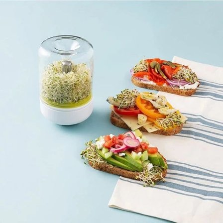 CDQ Groddbox groddodlingsset Groddburkar verktyg