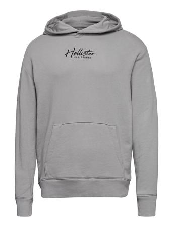 Hco. Guys Sweatshirts Grey Hollister