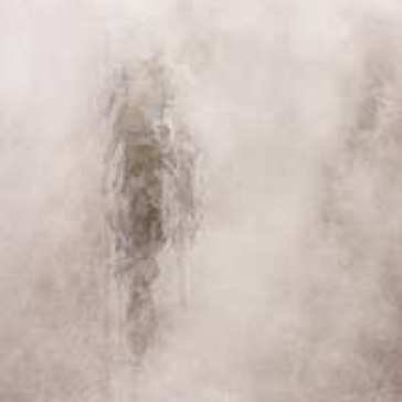 One for sorrow, two forjoy SECOND MOON OF WINTE