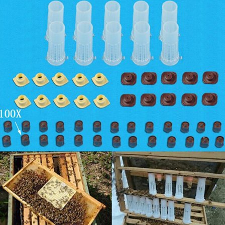 Komplett Queen Rearing cCup Kit System Biodlingsfångare