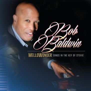 Mellowonder - songs in the key of stevie Bob Baldwin