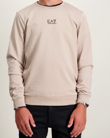 EA7 Emporio Armani SWEATSHIRT Gris Pulls Garçon - Kids Brand Store