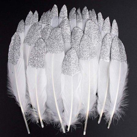 Värikkäät höyhenet, 20 kpl hopeanvalkoisia dipattuja höyhenkoristeita, ZQKLA