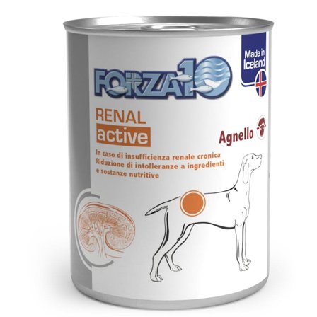 Forza10 Actiwet Renal Cibo Umido Cani Adulti Barattolo 390g