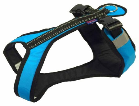 ZeroDC Short Turkis -Hundesele