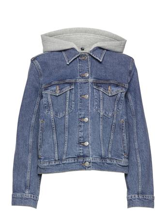 Veronica Jkt Sara Blue Tommy Hilfiger