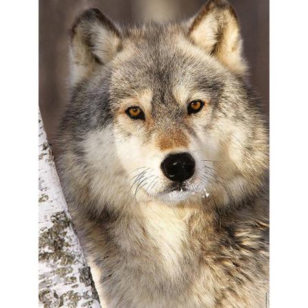 Full 5d Diy Diamond Painting Cross Stitch Wolf Brodery Mosaic Rh Som På Bilden 1 45x60cm