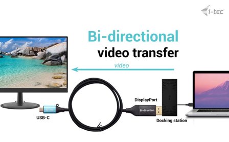 I-TEC videoadapterkabel - 24 pin USB-C til DisplayPort - 1.5 m