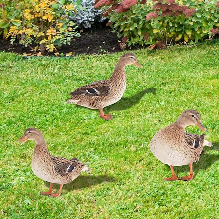 Set med 3 st ankaformade trädgårdsinsatser, akryldekoration, för trädgård, gräsmatta