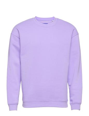 Jorbrink Sweat Crew Neck Sweatshirt Trøje Lilla Jack & J S