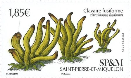 Saint Pierre og Miquelon - Gyldne spindler - Postfrisk frimærke