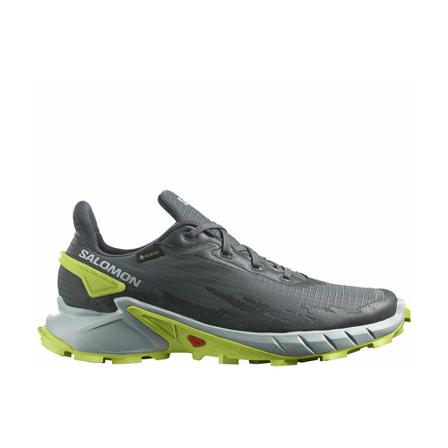 Salomon, Alphacross 4 GTX Shoes Szary, Mężczyzna, Rozmiar: 44 EU