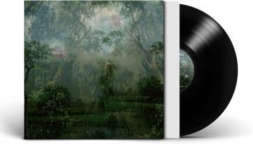 The coloured breeze is a new dimension Twice A Man