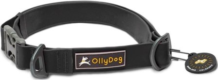 OllyDog Tilden Collar Black