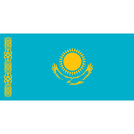 Kasakhstans flagg Kazakstan