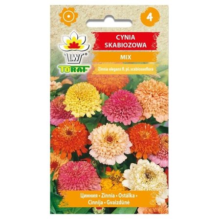 Frö till dahlia-zinnia mix – Färgstarka, stora blommor för rabatter och buketter