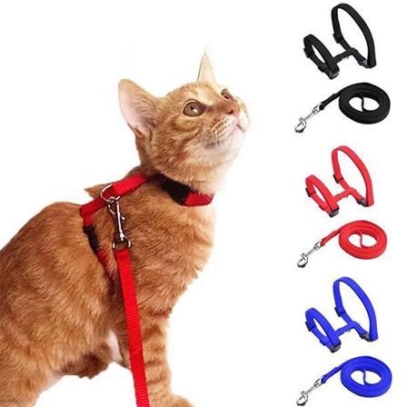 Kattsele Som Är Enkelt Och Justerbart Svart