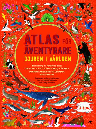 Atlas för äventyrare : djuren i världen - Bok av Emily Hawkins & Rachel Williams - Kartonnage